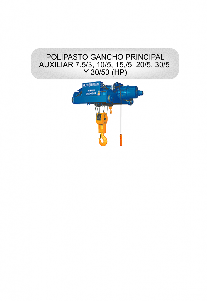 POLIPASTO GANCHO PRINCIPAL AUXILIAR 1